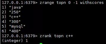 1625619349919-6c2c3451-2135-48ed-b98c-37759e317f65.webp