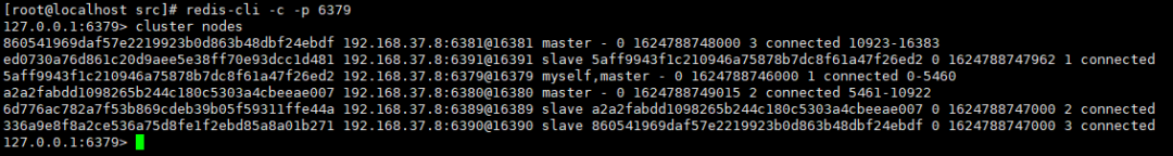 1625626513902-f4c1b3e6-bf19-44ea-84d3-b4414a4df8b2.png