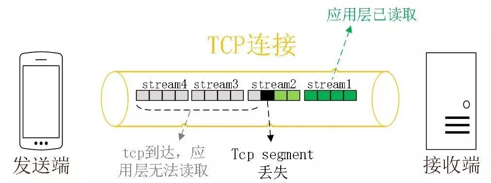 1679811573999-3e617276-adc2-4b3d-aa84-2acc5168d413.jpeg